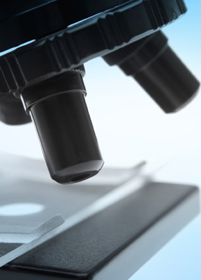 Research and Development